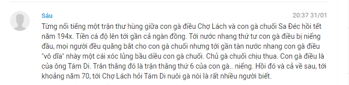 Giai thoại về gà Chợ Lách - 1 trong các dòng gà chọi nổi tiếng Việt Nam.