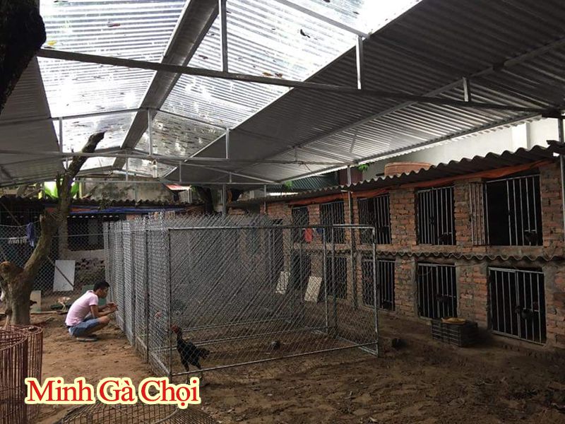 Chuồng gà bằng lưới B40 dạng quây đơn giản.