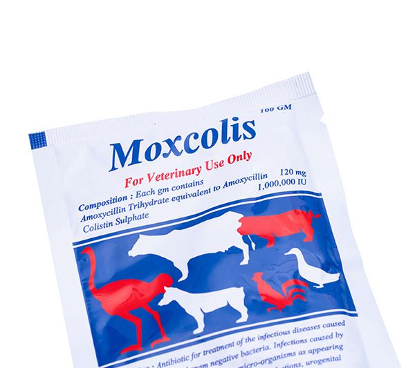 Thuốc kháng sinh MOXCOLIS trị bệnh tụ huyết trùng gà.