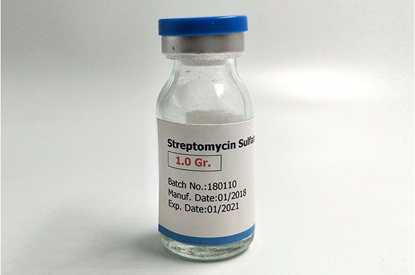 Sử dụng khán sinh streptomycin chữa gà sưng mặt.