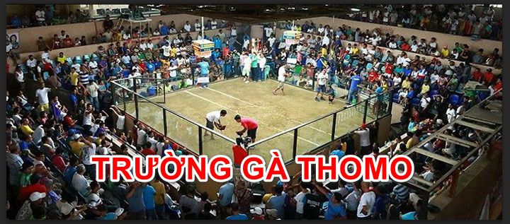 Trường gà Thomo Campuchia gần cửa khẩu Thomo Long An.